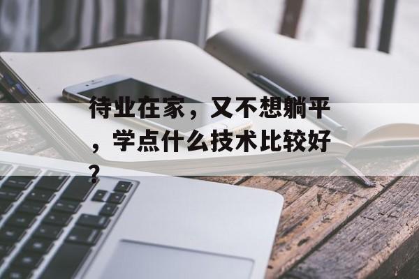待业在家，又不想躺平，学点什么技术比较好？-第1张图片-
