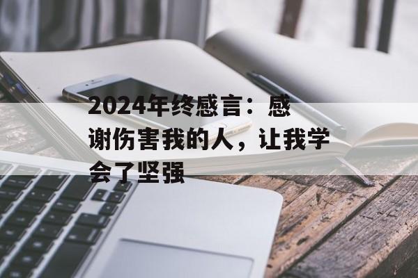 2024年终感言：感谢伤害我的人，让我学会了坚强-第1张图片-