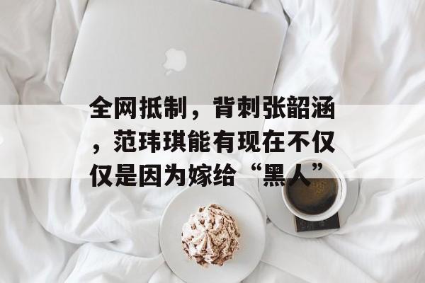 全网抵制，背刺张韶涵，范玮琪能有现在不仅仅是因为嫁给“黑人”-第1张图片-