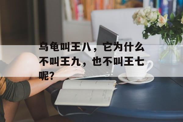 乌龟叫王八，它为什么不叫王九，也不叫王七呢？-第1张图片-