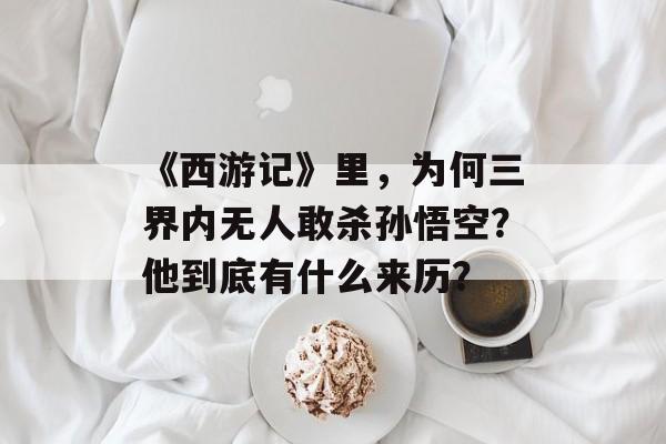 《西游记》里，为何三界内无人敢杀孙悟空？他到底有什么来历？-第1张图片-