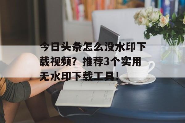 今日头条怎么没水印下载视频？推荐3个实用无水印下载工具！-第1张图片-