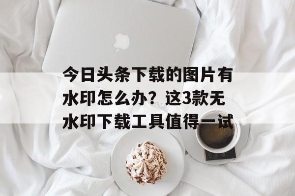 今日头条下载的图片有水印怎么办？这3款无水印下载工具值得一试-第1张图片-