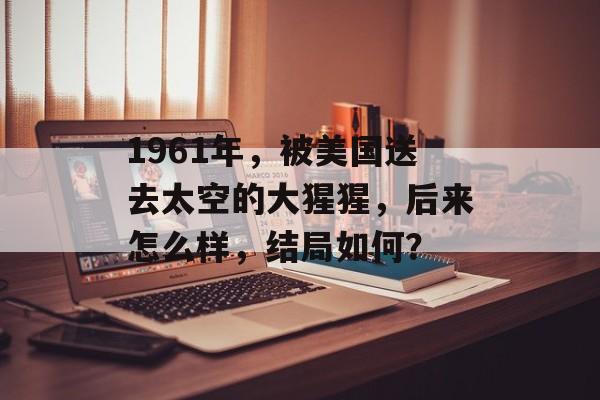 1961年，被美国送去太空的大猩猩，后来怎么样，结局如何？-第1张图片-
