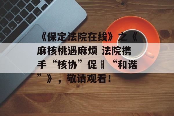 《保定法院在线》之《麻核桃遇麻烦 法院携手“核协”促​“和谐”》，敬请观看！-第1张图片-