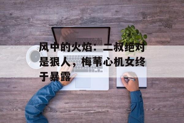 风中的火焰：二叔绝对是狠人，梅苇心机女终于暴露-第1张图片-