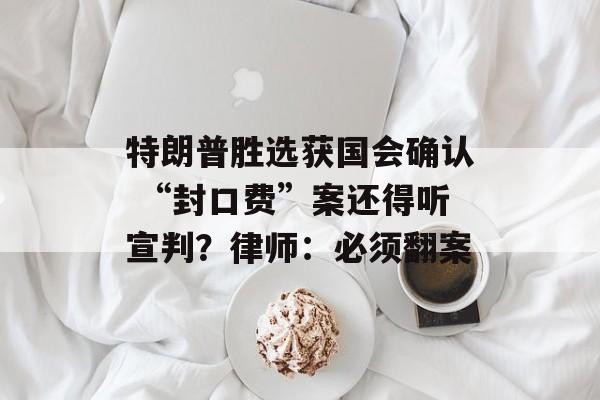 特朗普胜选获国会确认 “封口费”案还得听宣判？律师：必须翻案-第1张图片-
