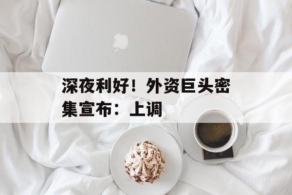 深夜利好！外资巨头密集宣布：上调-第1张图片-
