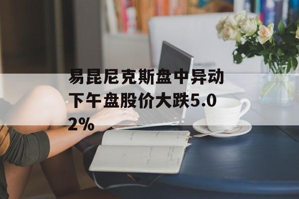 易昆尼克斯盘中异动 下午盘股价大跌5.02%-第1张图片-