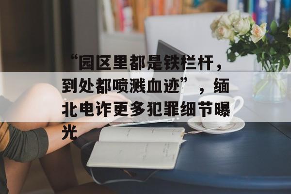 “园区里都是铁栏杆，到处都喷溅血迹”，缅北电诈更多犯罪细节曝光-第1张图片-