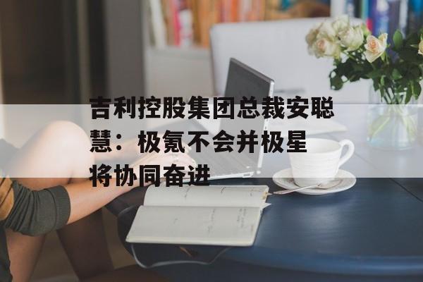 吉利控股集团总裁安聪慧：极氪不会并极星 将协同奋进-第1张图片-