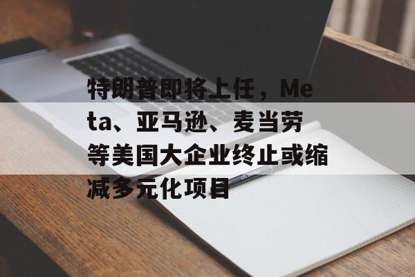特朗普即将上任，Meta、亚马逊、麦当劳等美国大企业终止或缩减多元化项目-第1张图片-