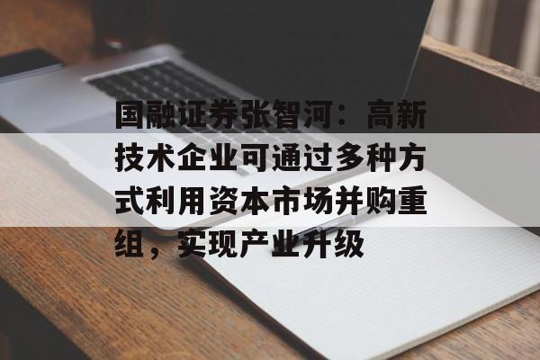 国融证券张智河：高新技术企业可通过多种方式利用资本市场并购重组，实现产业升级-第1张图片-