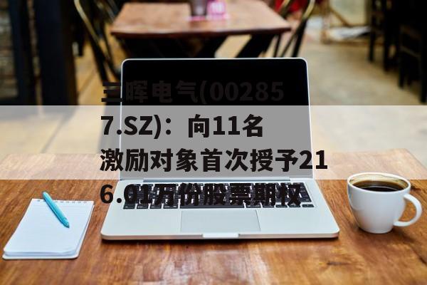 三晖电气(002857.SZ)：向11名激励对象首次授予216.01万份股票期权-第1张图片-
