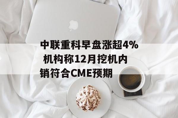 中联重科早盘涨超4% 机构称12月挖机内销符合CME预期-第1张图片-