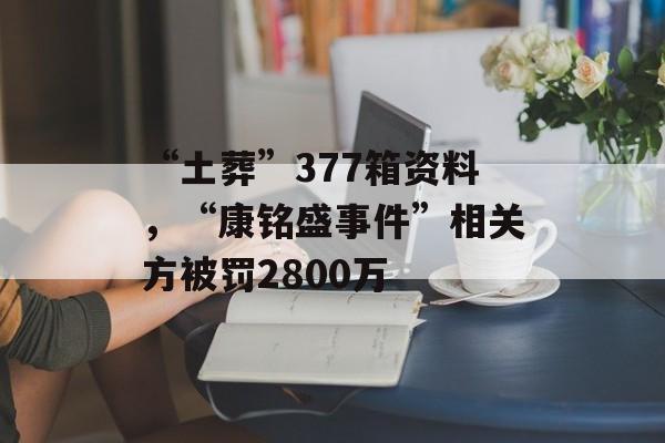 “土葬”377箱资料，“康铭盛事件”相关方被罚2800万-第1张图片-
