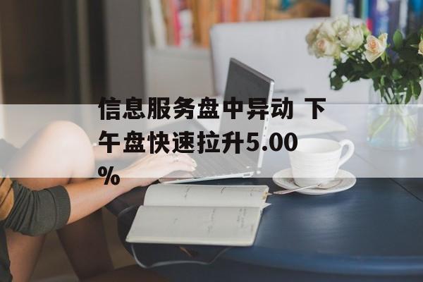 信息服务盘中异动 下午盘快速拉升5.00%-第1张图片-
