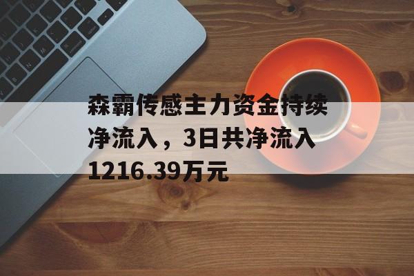 森霸传感主力资金持续净流入，3日共净流入1216.39万元-第1张图片-