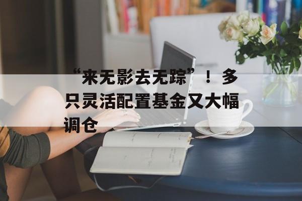 “来无影去无踪”！多只灵活配置基金又大幅调仓-第1张图片-