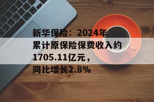 新华保险：2024年累计原保险保费收入约1705.11亿元，同比增长2.8%-第1张图片-