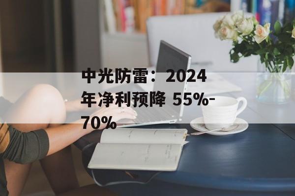 中光防雷：2024 年净利预降 55%-70%-第1张图片-