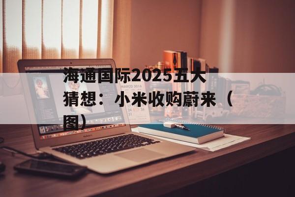海通国际2025五大猜想：小米收购蔚来（图）-第1张图片-