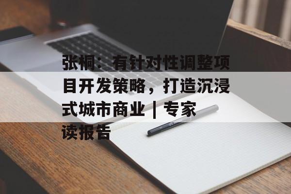 张桐：有针对性调整项目开发策略，打造沉浸式城市商业 | 专家读报告-第1张图片-