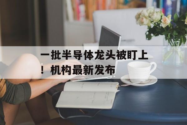 一批半导体龙头被盯上！机构最新发布-第1张图片-