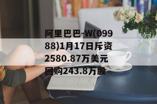 阿里巴巴-W(09988)1月17日斥资2580.87万美元回购243.8万股-第1张图片-