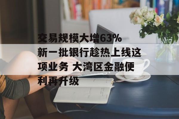 交易规模大增63% 新一批银行趁热上线这项业务 大湾区金融便利再升级-第1张图片-
