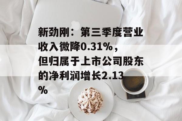 新劲刚：第三季度营业收入微降0.31%，但归属于上市公司股东的净利润增长2.13%-第1张图片-