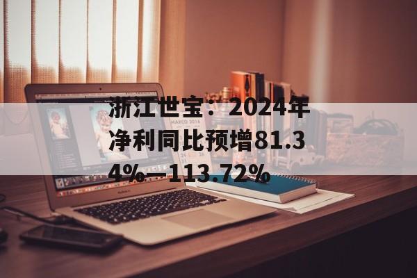 浙江世宝：2024年净利同比预增81.34%―113.72%-第1张图片-