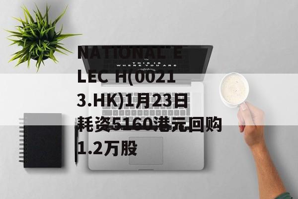 NATIONAL ELEC H(00213.HK)1月23日耗资5160港元回购1.2万股-第1张图片-