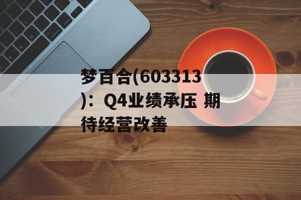 梦百合(603313):Q4业绩承压 期待经营改善-第1张图片- 梦百合(603313):Q4业绩承压 期待经营改善-第1张图片-