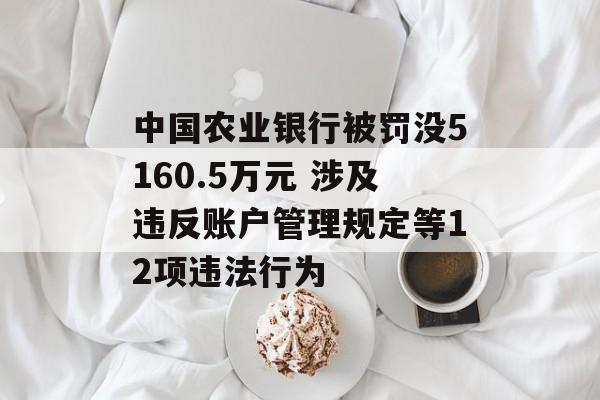 中国农业银行被罚没5160.5万元 涉及违反账户管理规定等12项违法行为-第1张图片-