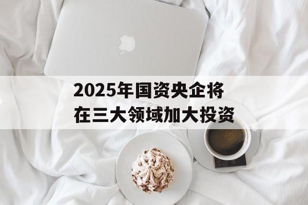 2025年国资央企将在三大领域加大投资-第1张图片-