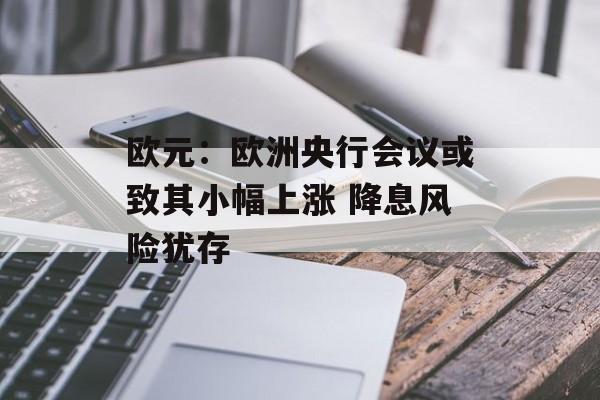 欧元：欧洲央行会议或致其小幅上涨 降息风险犹存-第1张图片-