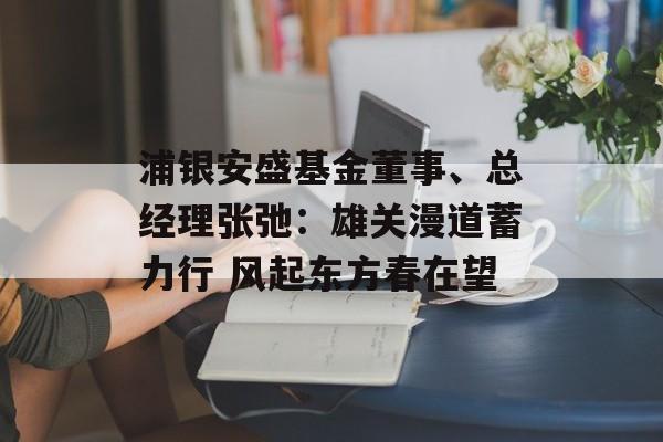 浦银安盛基金董事、总经理张弛：雄关漫道蓄力行 风起东方春在望-第1张图片-