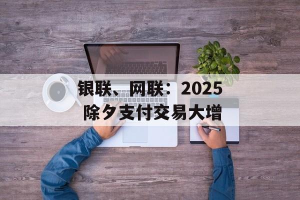 银联、网联：2025 除夕支付交易大增-第1张图片-
