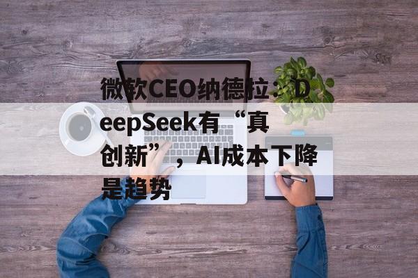 微软CEO纳德拉：DeepSeek有“真创新”，AI成本下降是趋势-第1张图片-