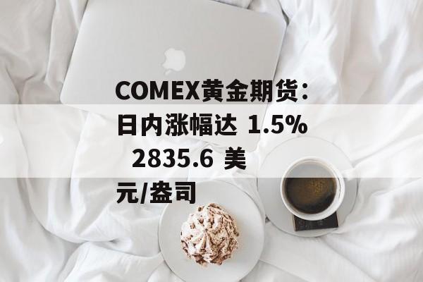 COMEX黄金期货：日内涨幅达 1.5%  2835.6 美元/盎司-第1张图片-