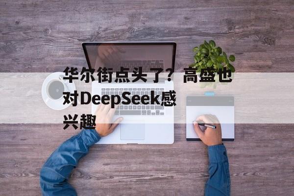 华尔街点头了？高盛也对DeepSeek感兴趣-第1张图片-