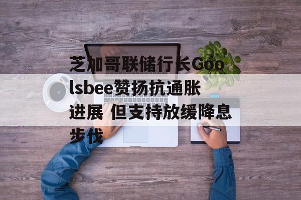芝加哥联储行长Goolsbee赞扬抗通胀进展 但支持放缓降息步伐-第1张图片-