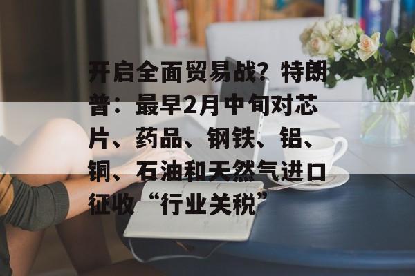 开启全面贸易战？特朗普：最早2月中旬对芯片、药品、钢铁、铝、铜、石油和天然气进口征收“行业关税”-第1张图片-