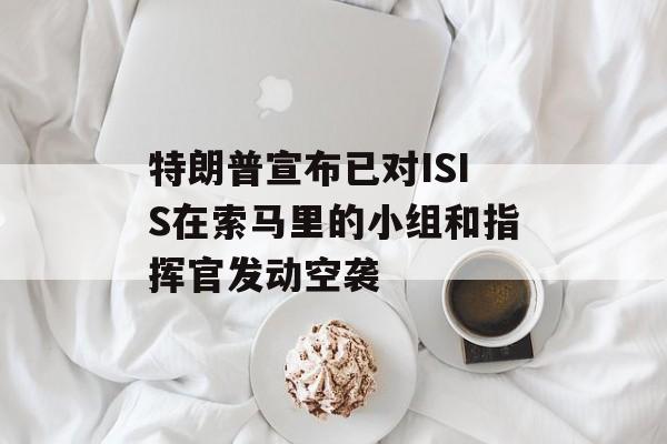 特朗普宣布已对ISIS在索马里的小组和指挥官发动空袭-第1张图片-