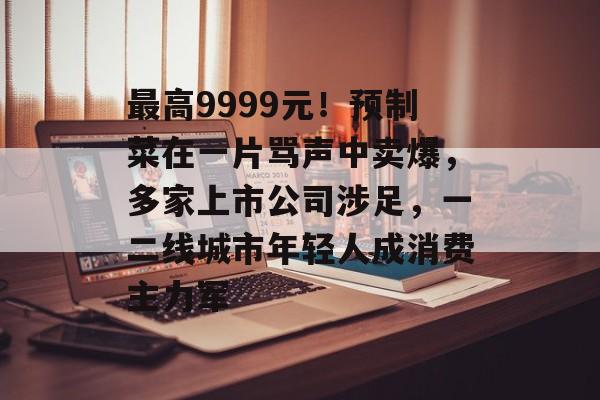 最高9999元！预制菜在一片骂声中卖爆，多家上市公司涉足，一二线城市年轻人成消费主力军-第1张图片-