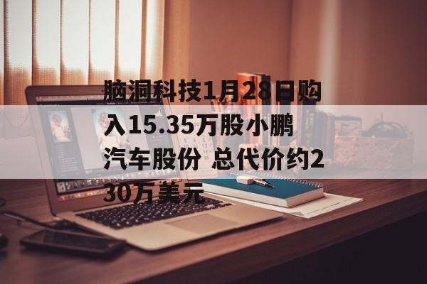 脑洞科技1月28日购入15.35万股小鹏汽车股份 总代价约230万美元-第1张图片-