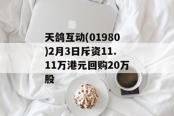 天鸽互动(01980)2月3日斥资11.11万港元回购20万股-第1张图片-