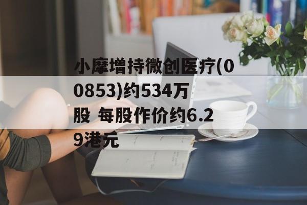小摩增持微创医疗(00853)约534万股 每股作价约6.29港元-第1张图片-