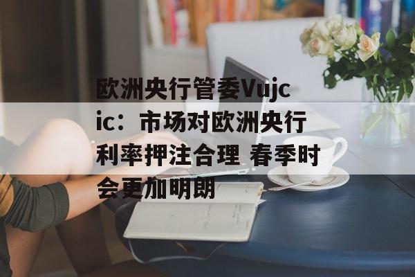 欧洲央行管委Vujcic：市场对欧洲央行利率押注合理 春季时会更加明朗-第1张图片-